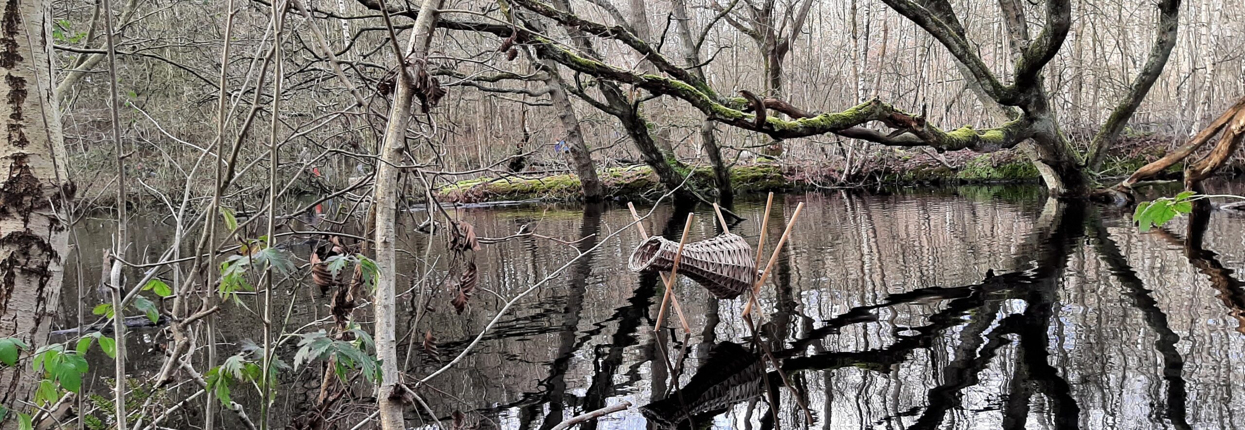 monitoring broedkorf